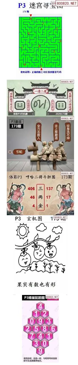 蜂巢天机图谜