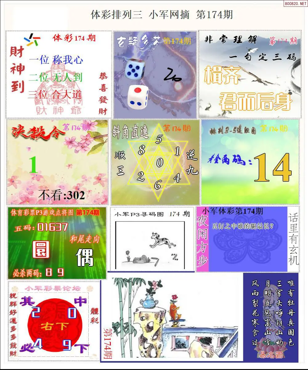 体彩P3小军网摘版