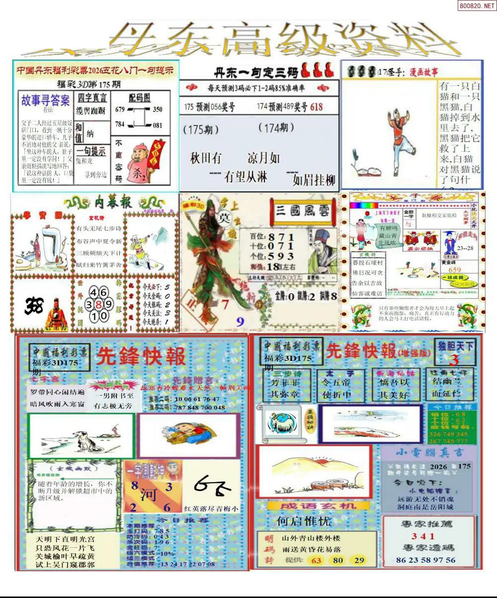 A307真丹东高级资料