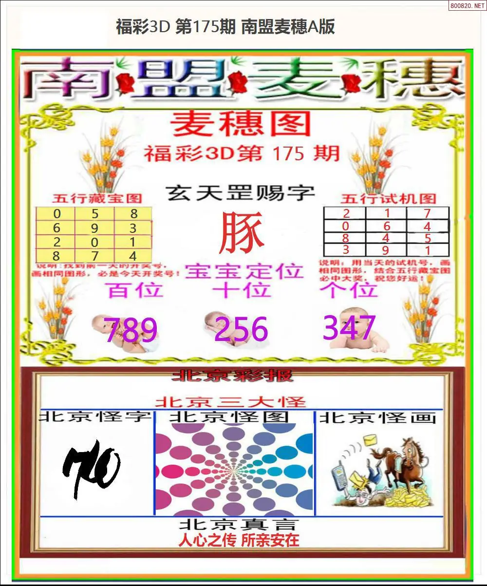 A181南盟麦穗A版