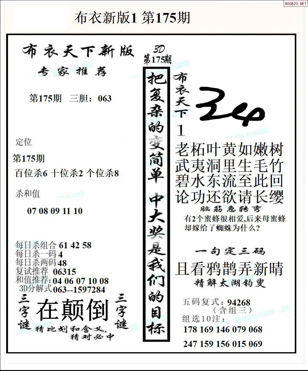 A51新版布衣1