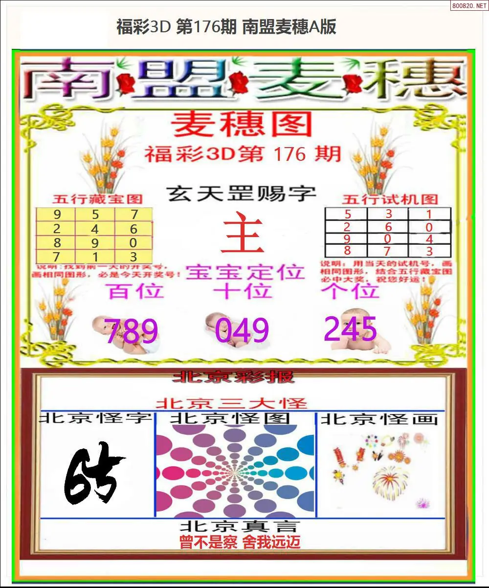 A181南盟麦穗A版