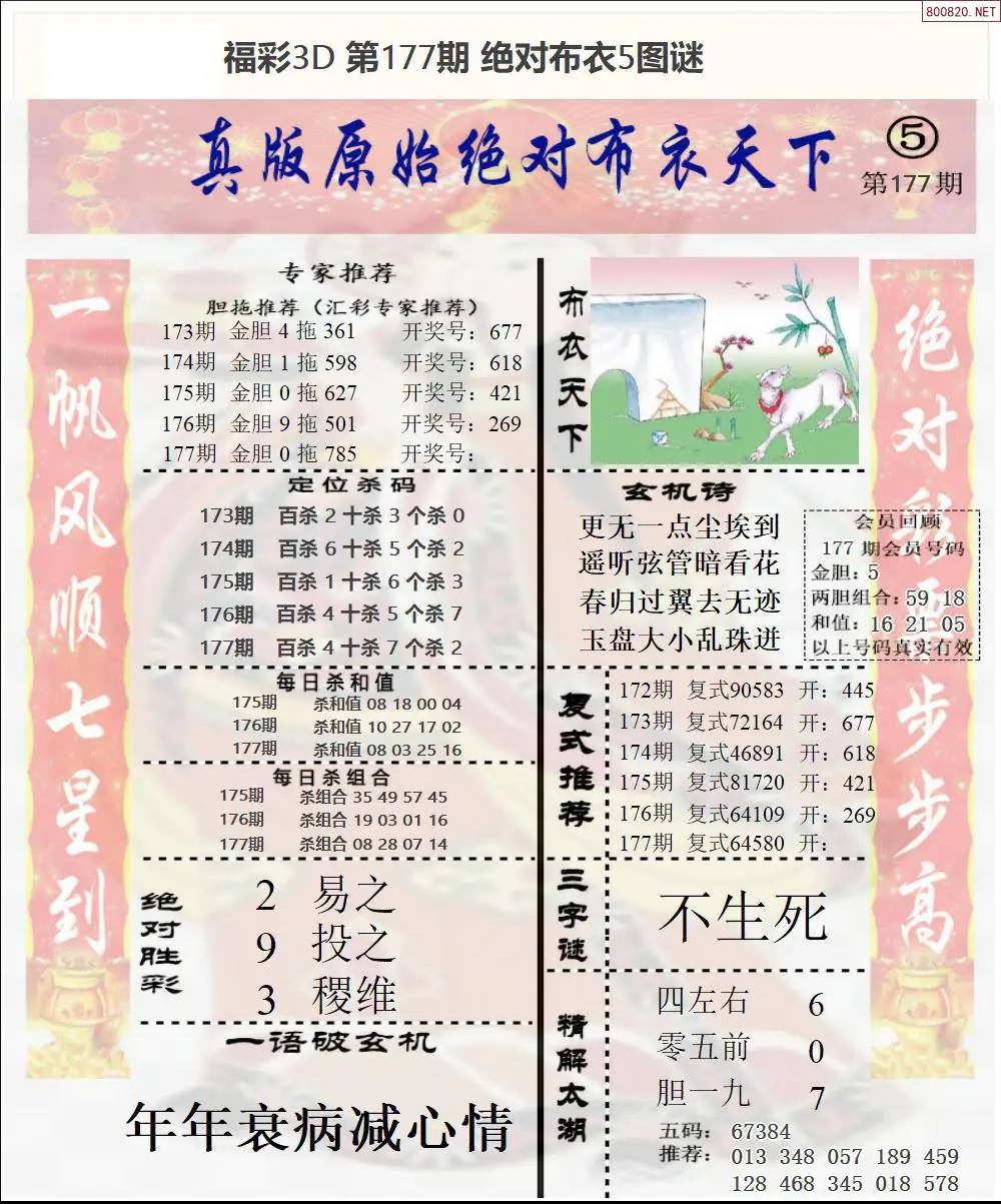 绝对布衣5