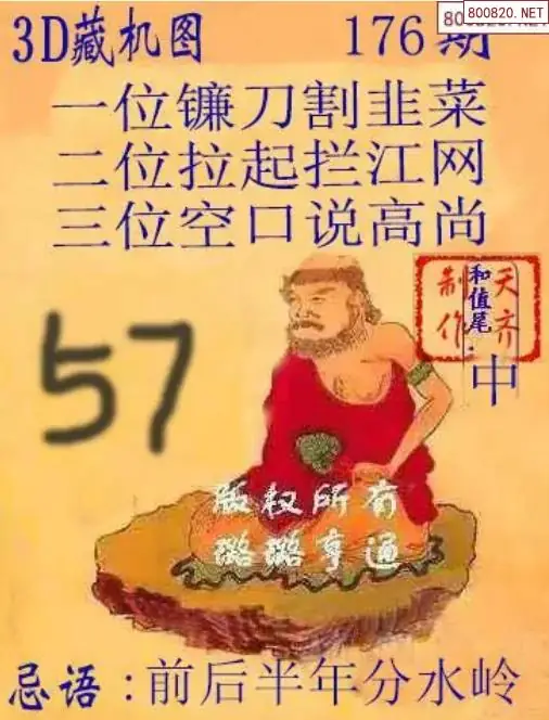 天齐3D藏机图