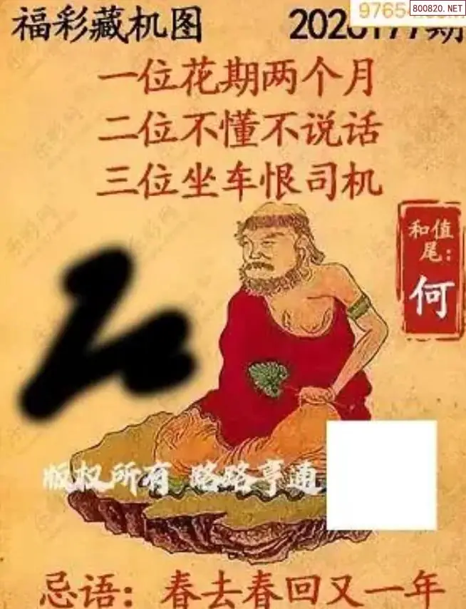 乐彩3D藏机图