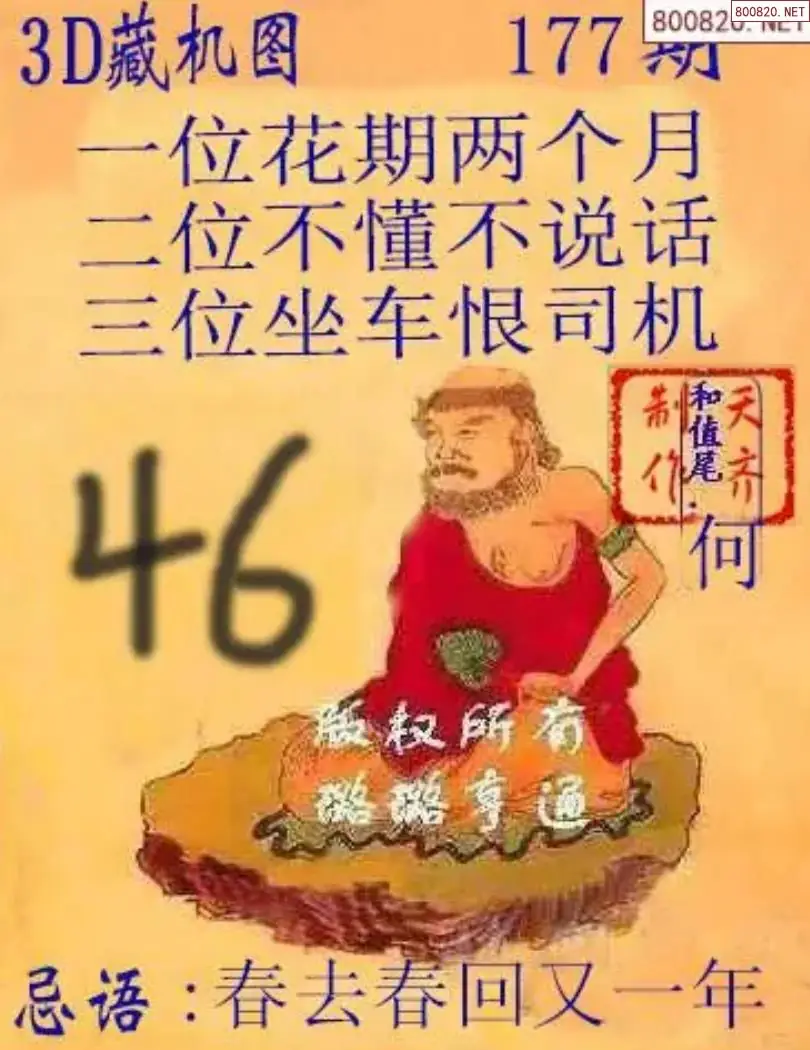 天齐3D藏机图