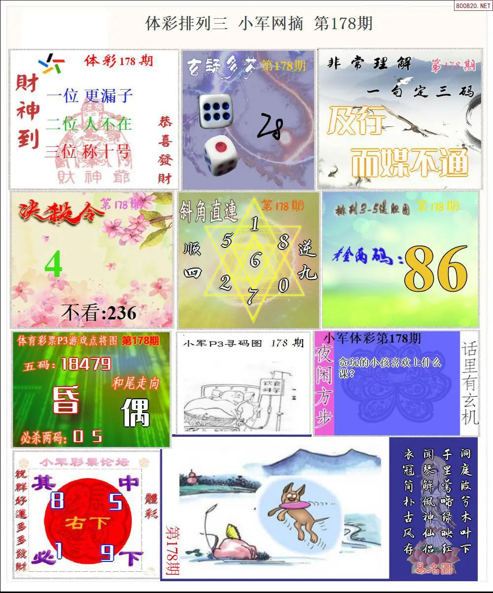 体彩P3小军网摘版