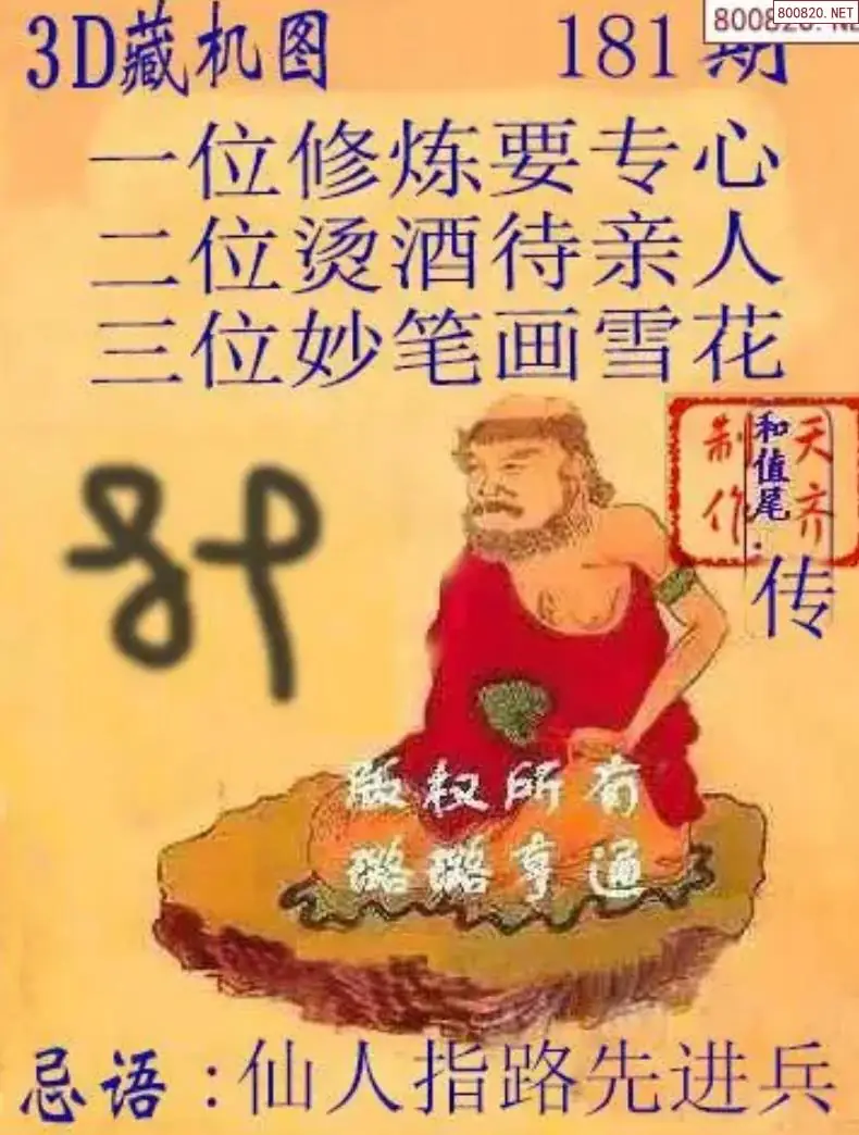 天齐3D藏机图