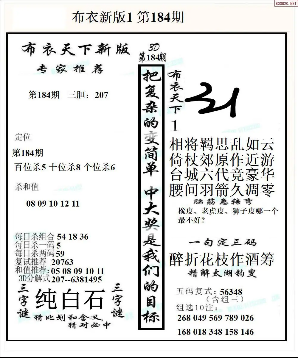 A51新版布衣1