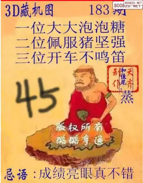 天齐3D藏机图