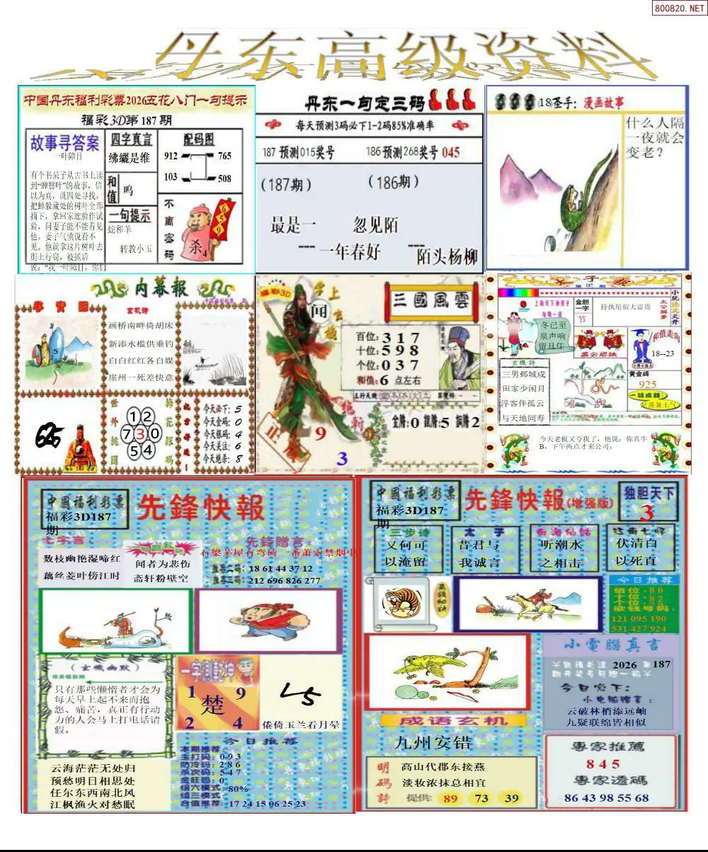 A307真丹东高级资料