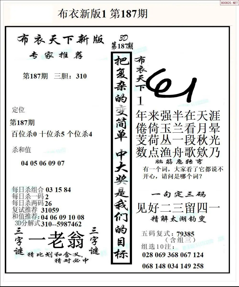 A51新版布衣1