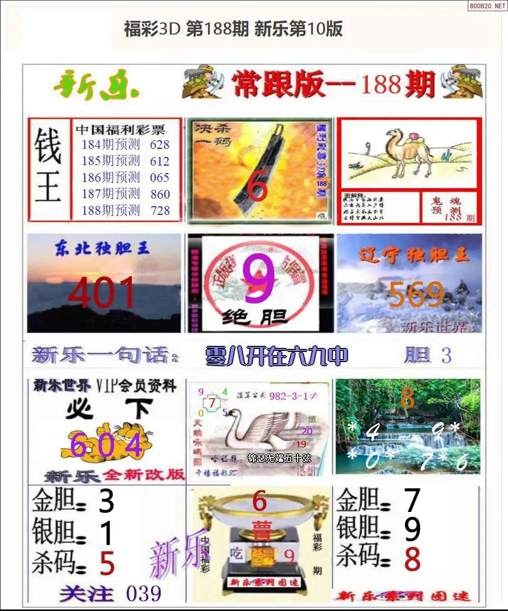 A366新乐报一版