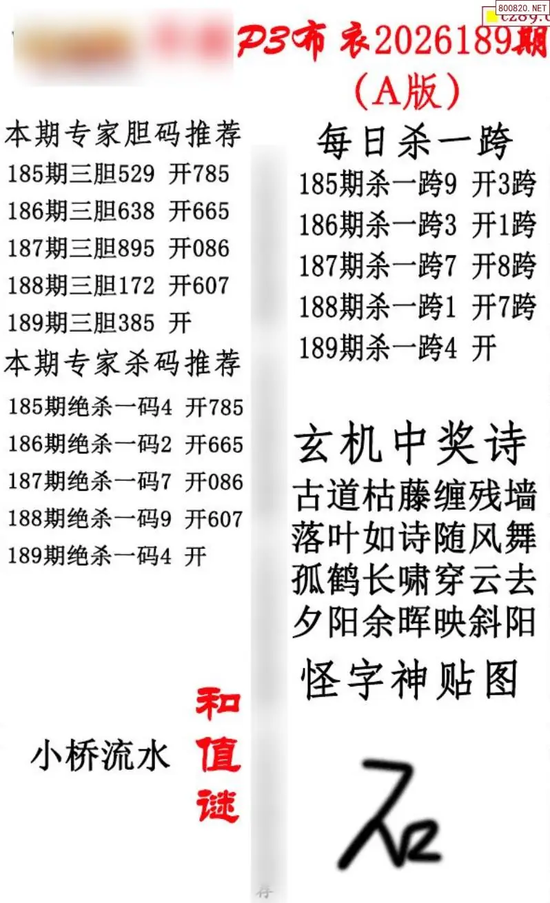 p3牛彩布衣A版