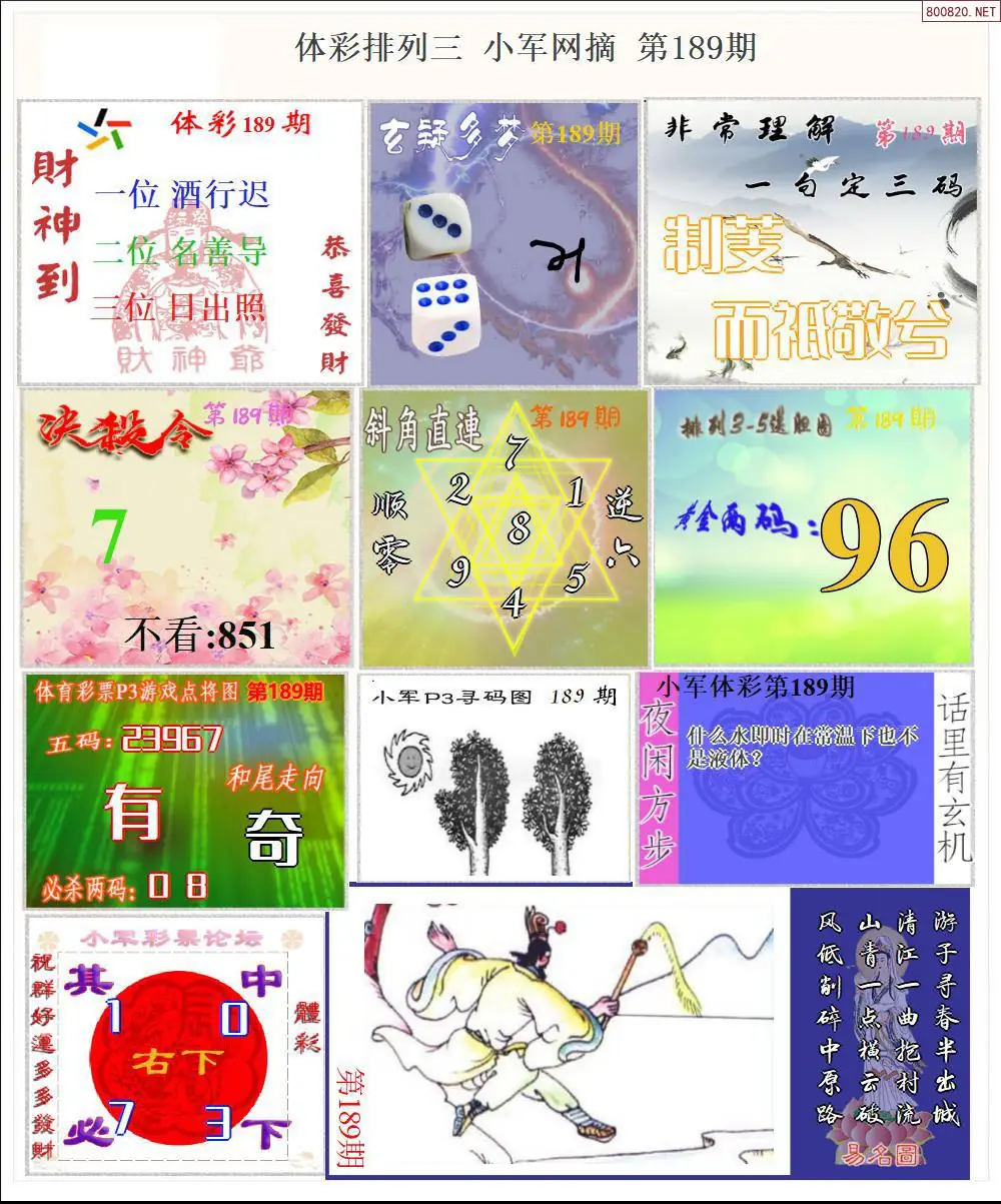 体彩P3小军网摘版