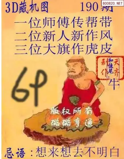 天齐3D藏机图