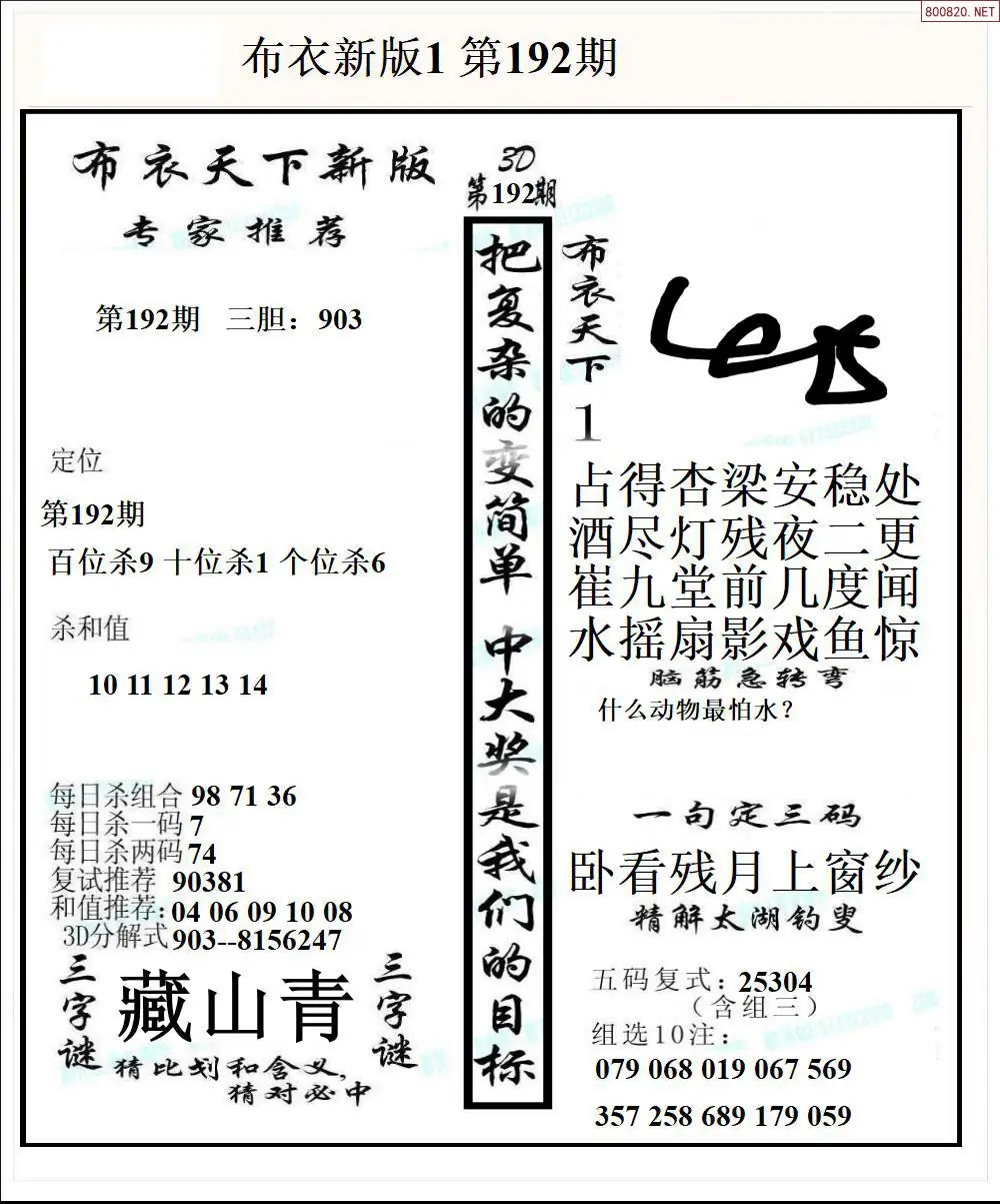 A51新版布衣1