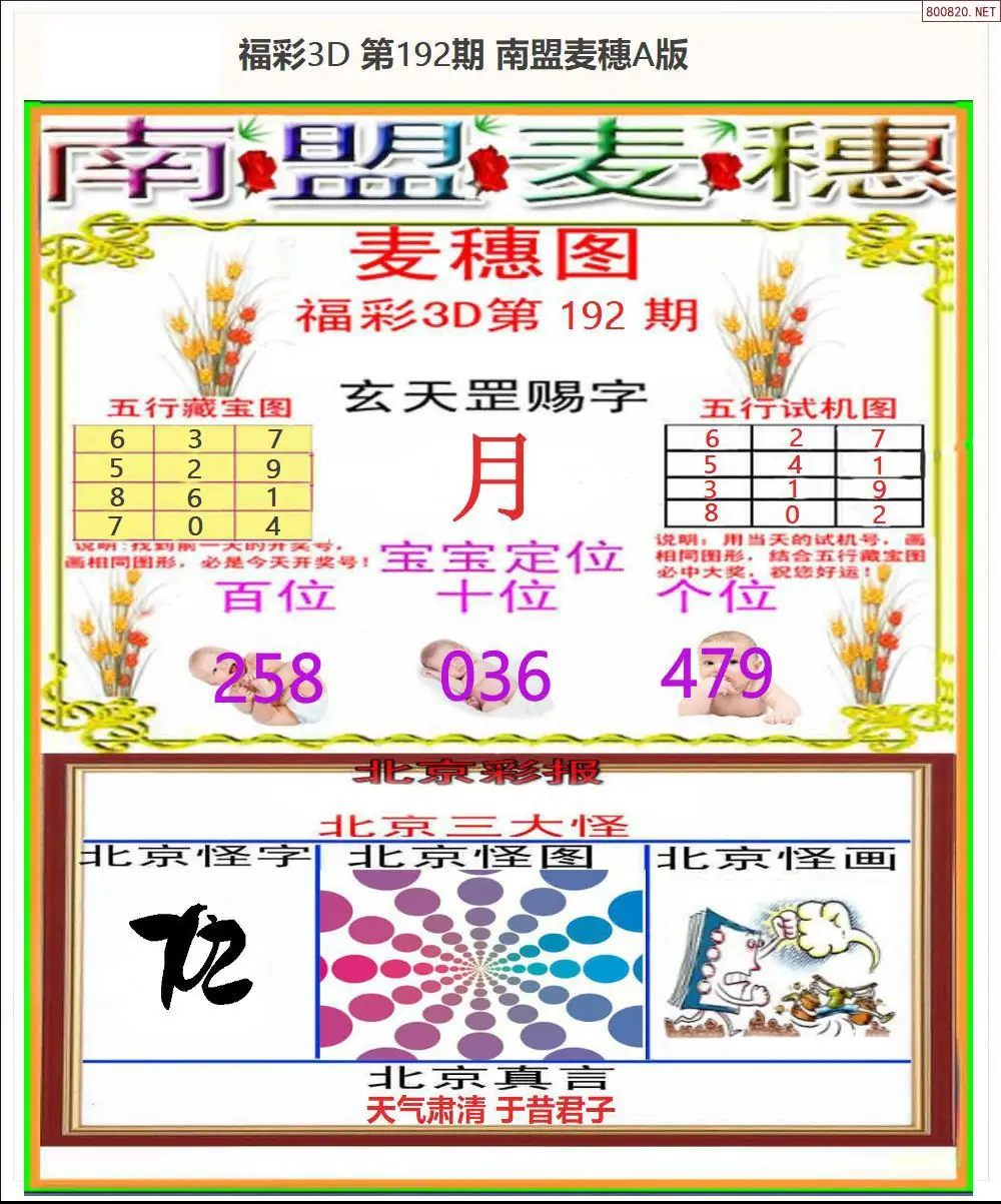 A181南盟麦穗A版