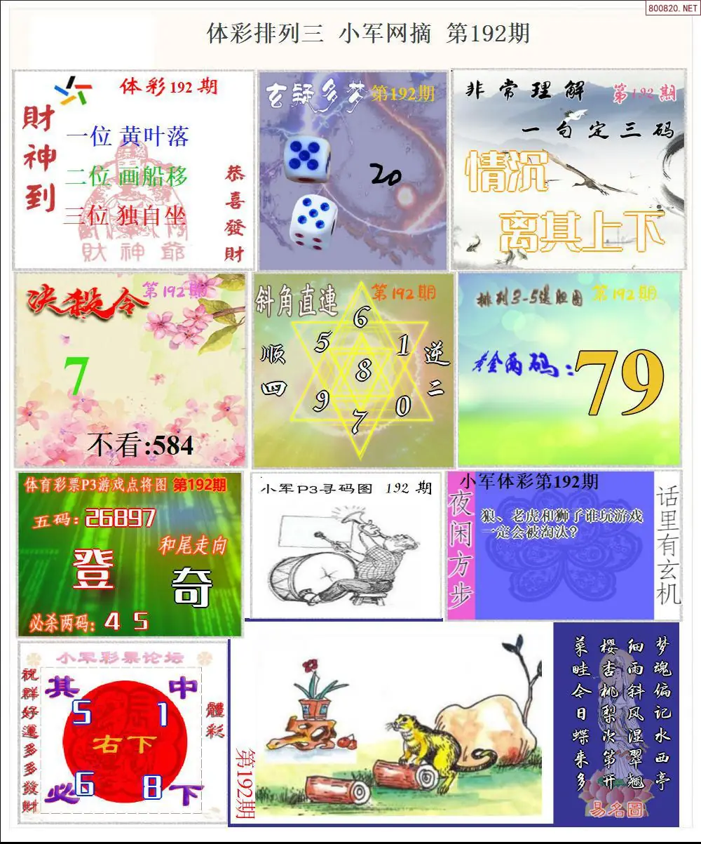 体彩P3小军网摘版