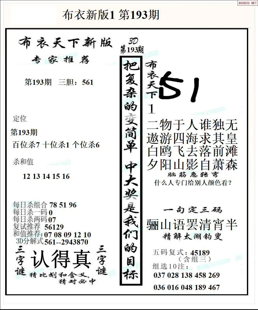 A51新版布衣1