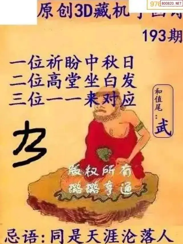 牛彩3D藏机图