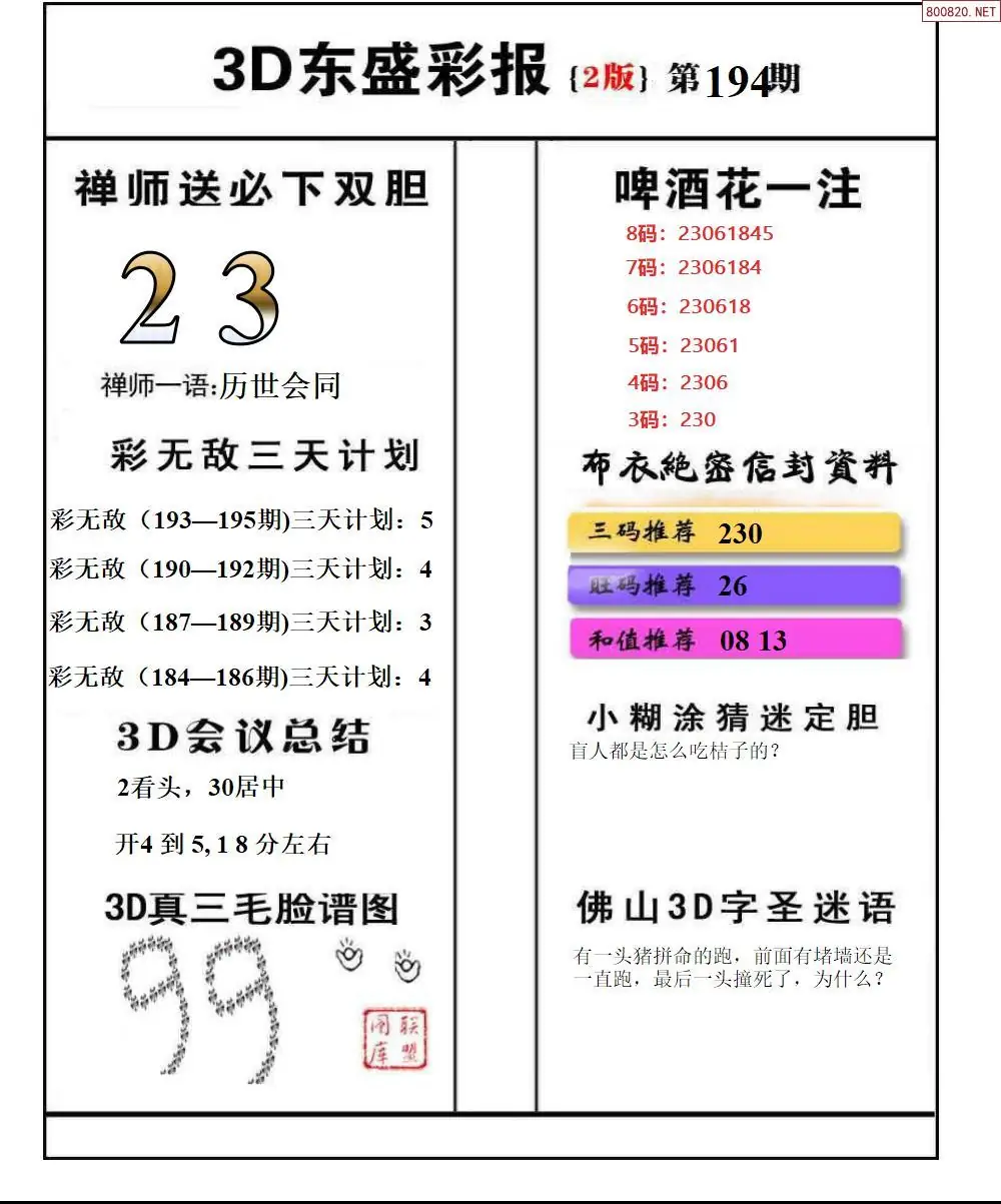 A228东盛彩报2版