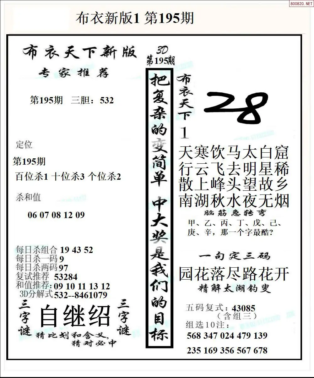 A51新版布衣1