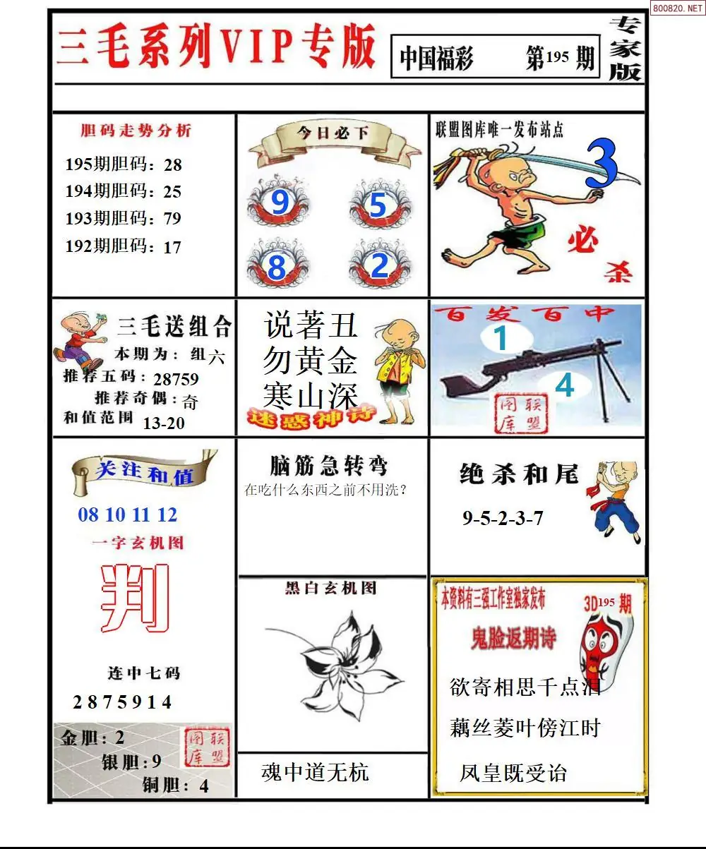 三毛系列VIP专版