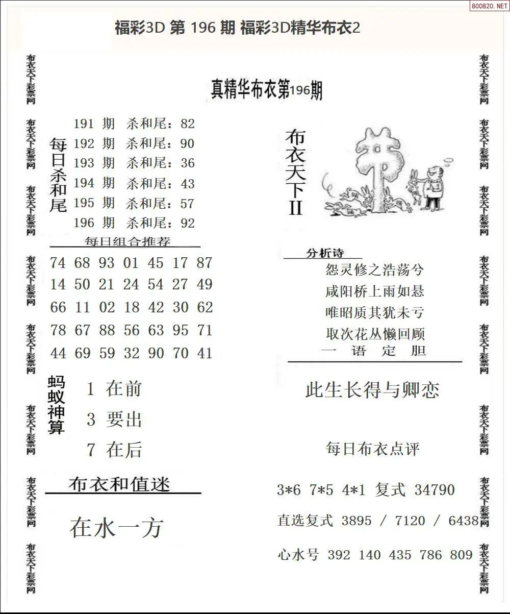 A34精华布衣2