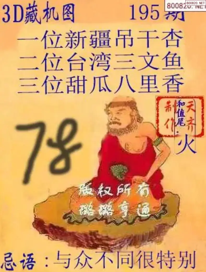 天齐3D藏机图