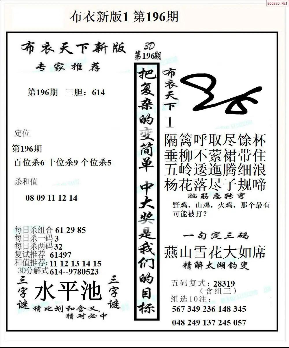 A51新版布衣1