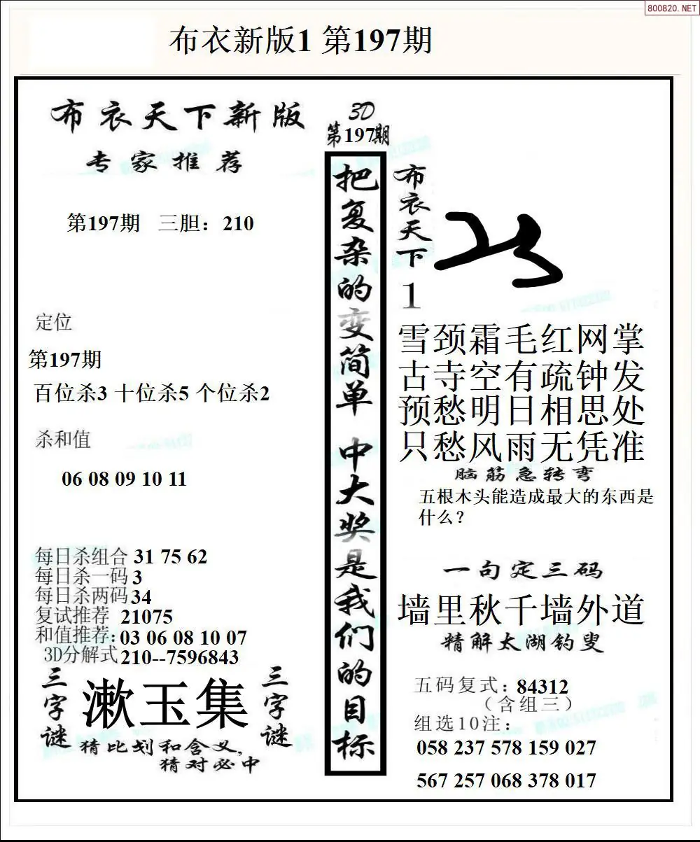 A51新版布衣1