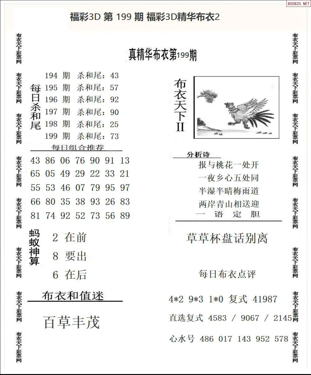 A34精华布衣2