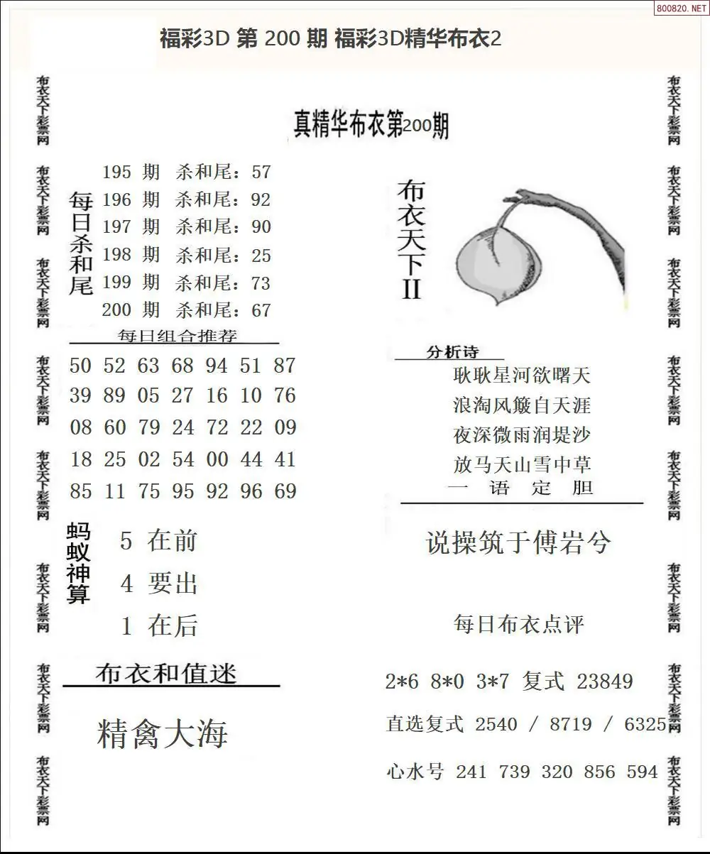 A34精华布衣2