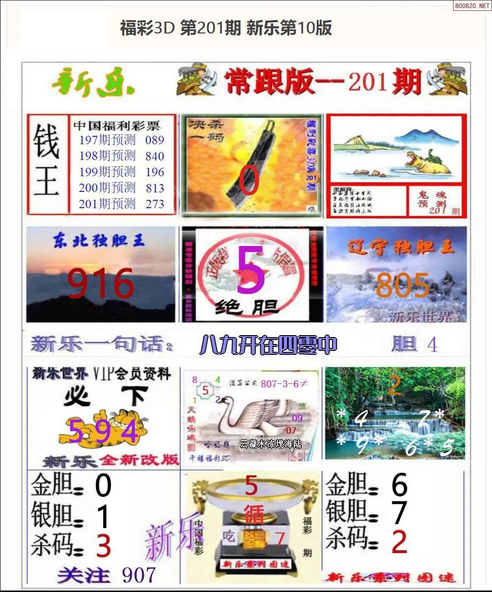 A366新乐报一版