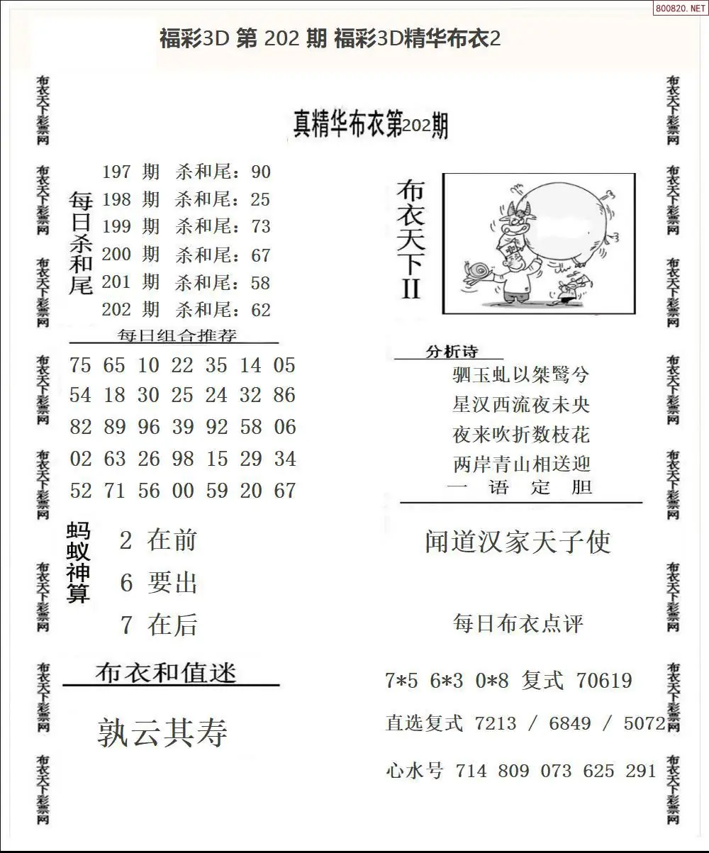A34精华布衣2