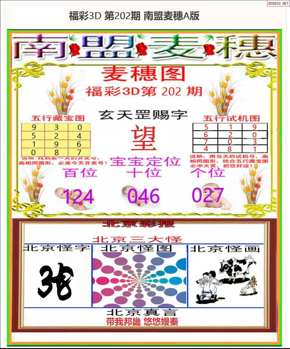 A181南盟麦穗A版