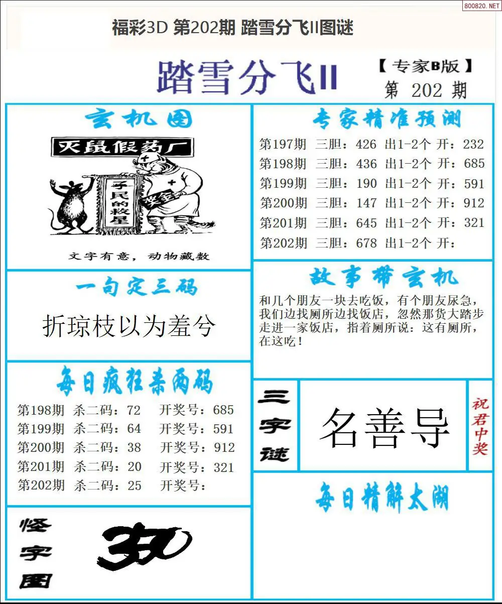A168东北彩报2版