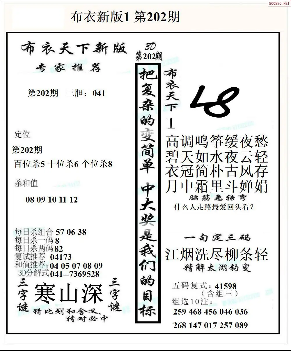 A51新版布衣1