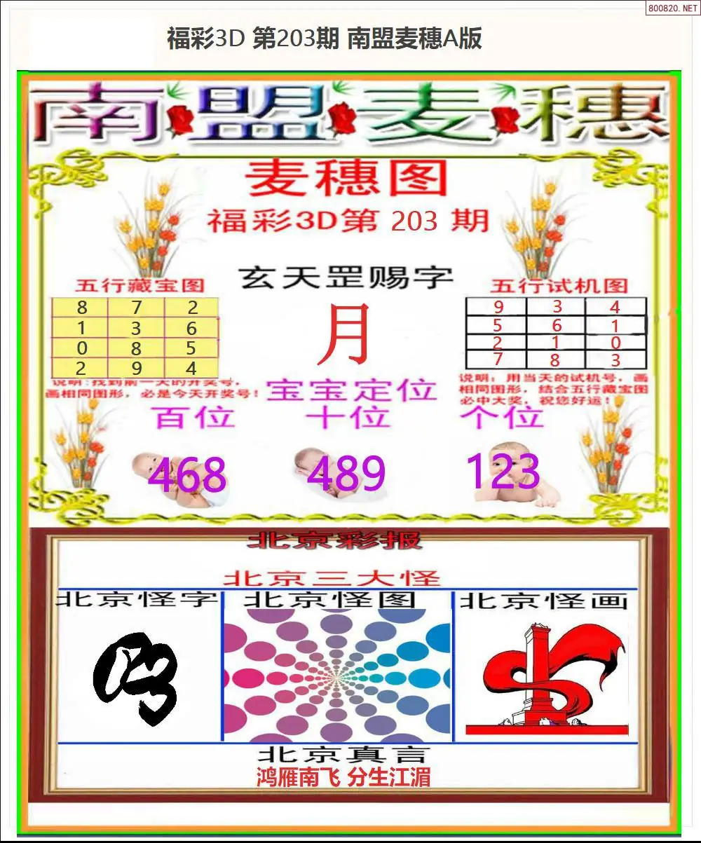 A181南盟麦穗A版