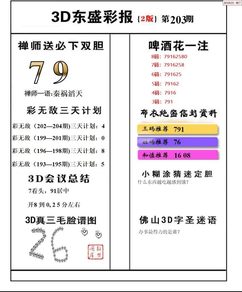 A228东盛彩报2版