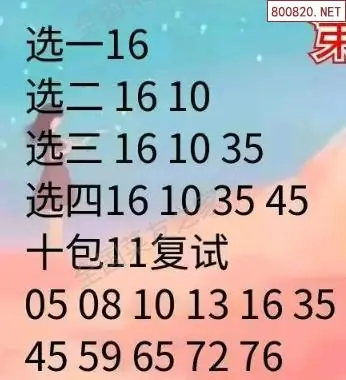 大洪山人推荐