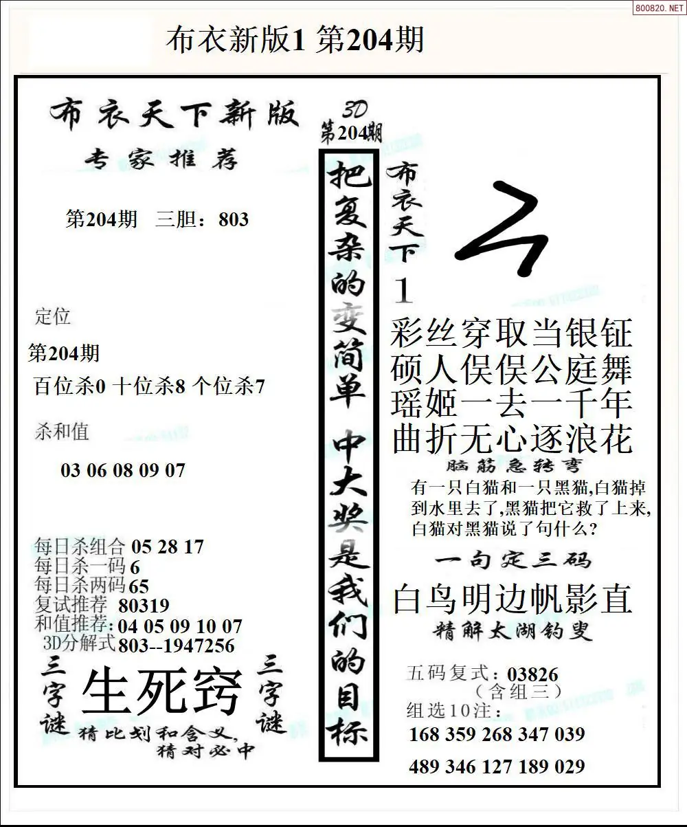 A51新版布衣1