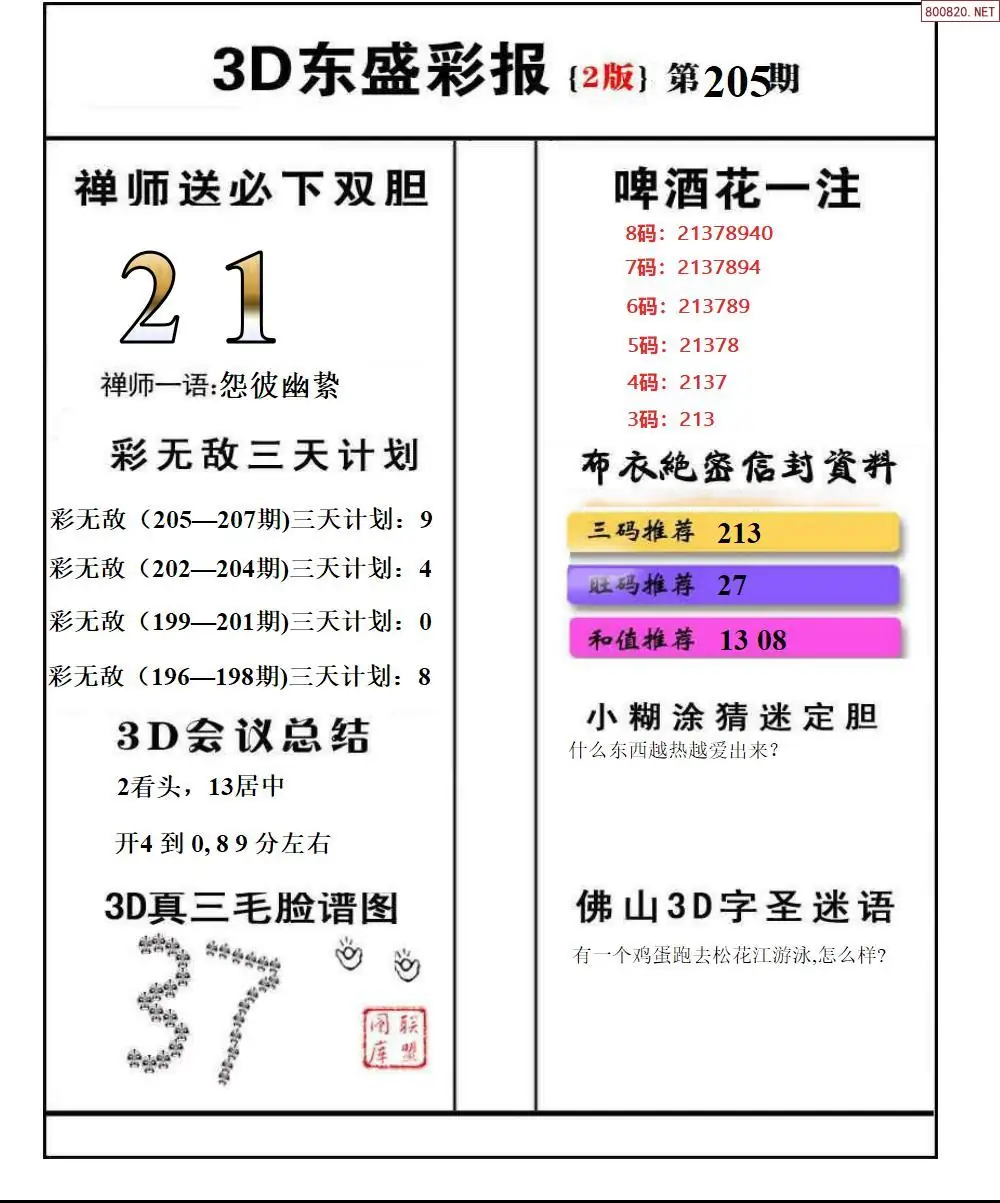 A228东盛彩报2版