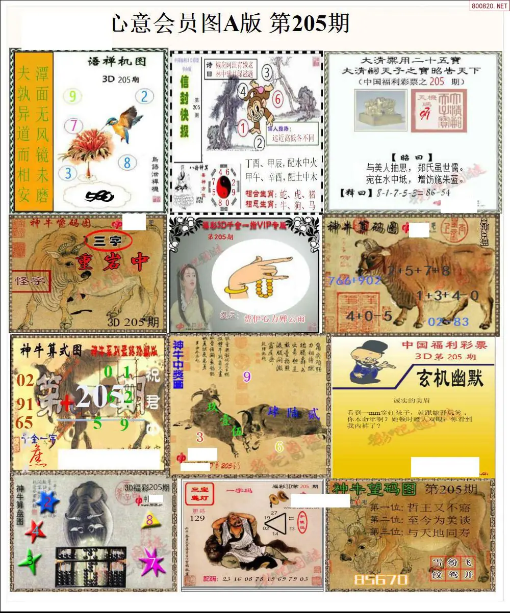 A205心意图A版
