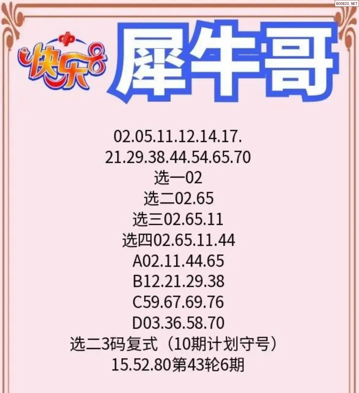 犀牛哥推荐