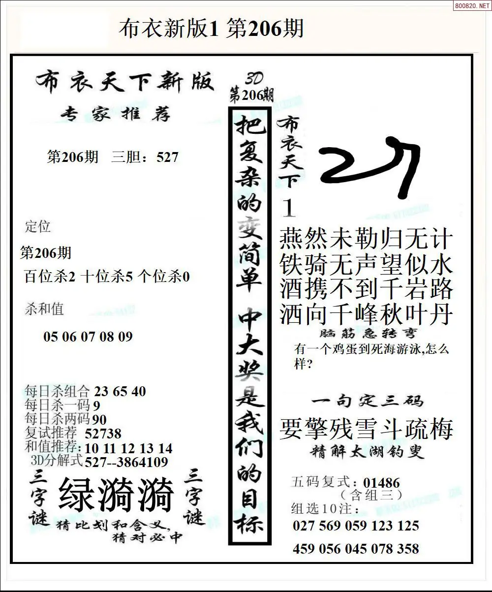A51新版布衣1