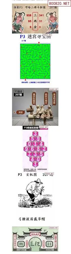 蜂巢天机图谜