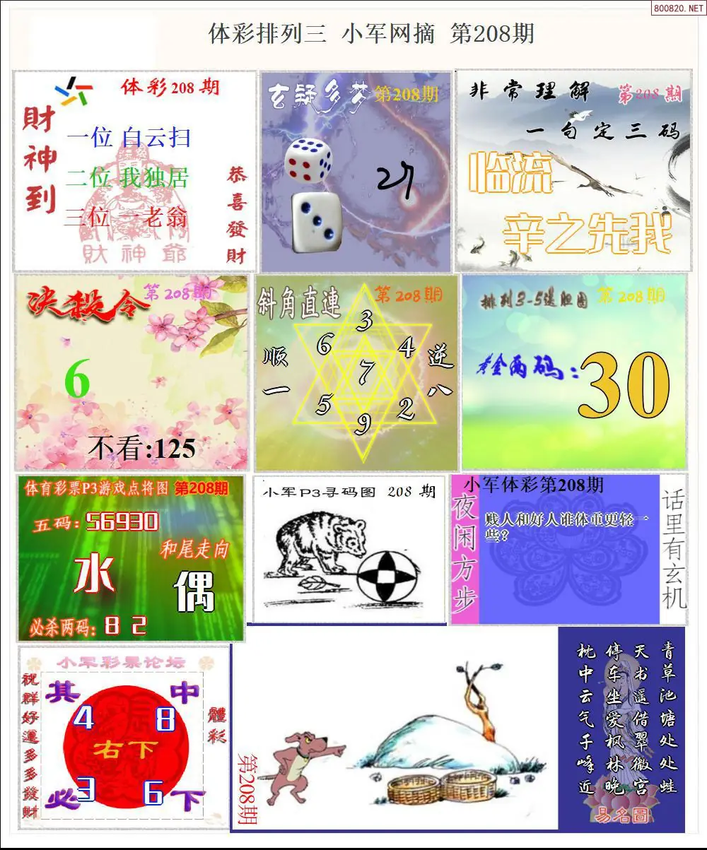 体彩P3小军网摘版
