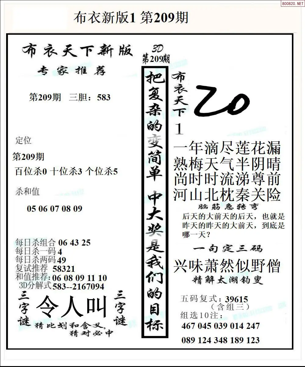 A51新版布衣1